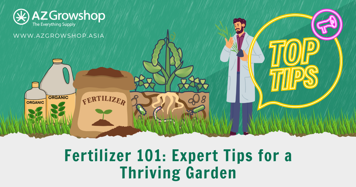 Fertilizer 101: Expert Tips for a Thriving Garden