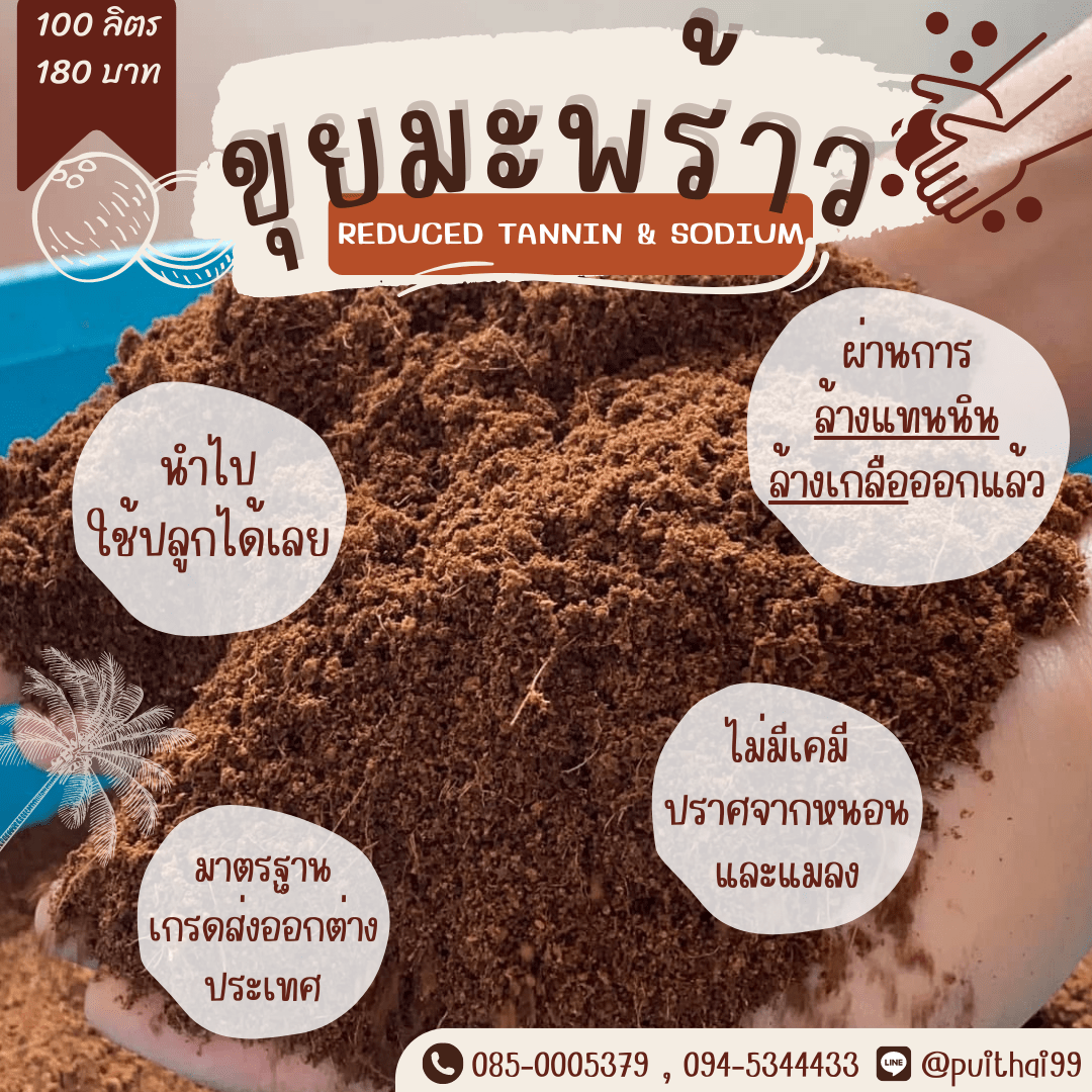 Coconut Wash - Thai Coco Coir — Tannin-Washed, Ready to Use (100L)