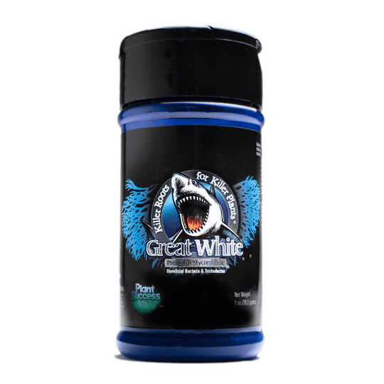 Great White Shark (Premium Mycorrhizae)