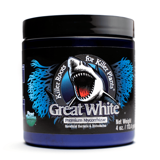 Great White Shark (Premium Mycorrhizae)