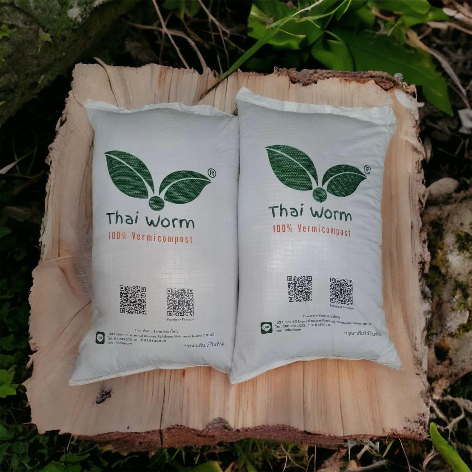 ใยมะพร้าว (Thai Worm)