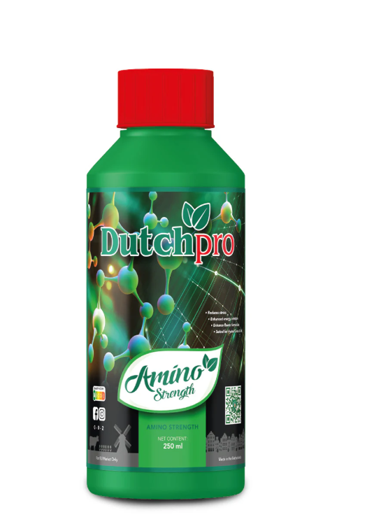 Amino Strength - Amino Acids