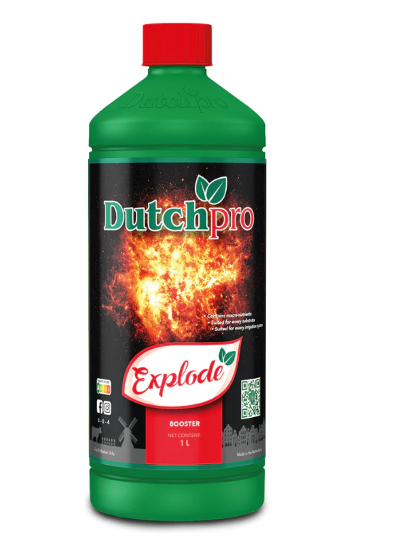 Explode - Bud Booster