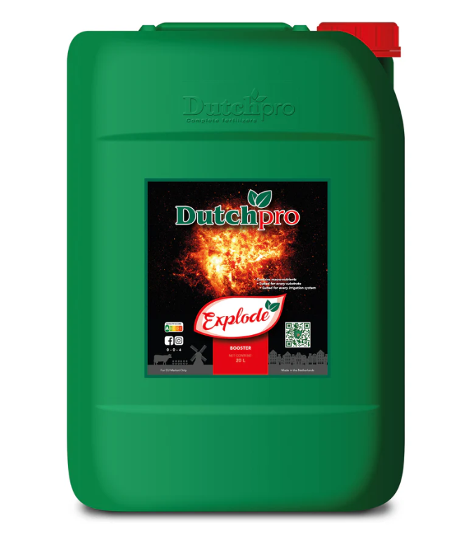 Explode - Bud Booster