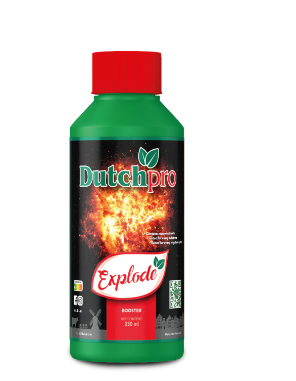 Explode - Bud Booster