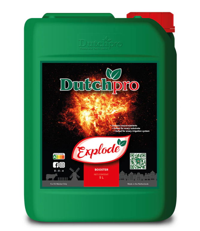 Explode - Bud Booster