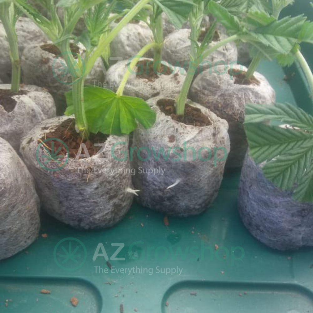 Jiffy-7 Pellets – The Original