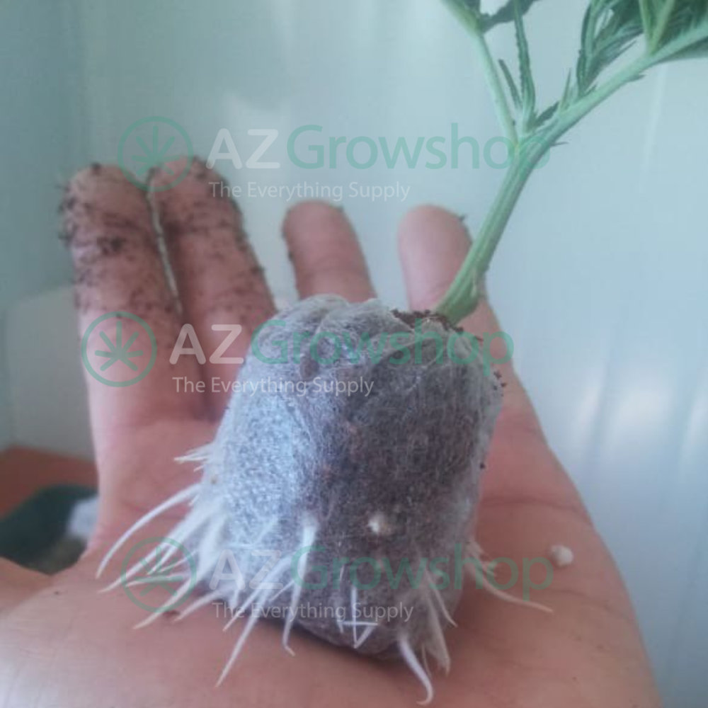 Jiffy-7 Pellets – The Original