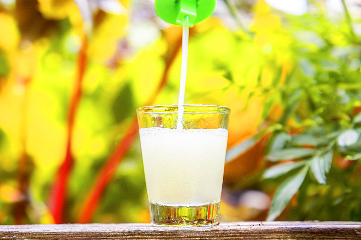 Lost Coast Plant Therapy concentrate poured into measuring container