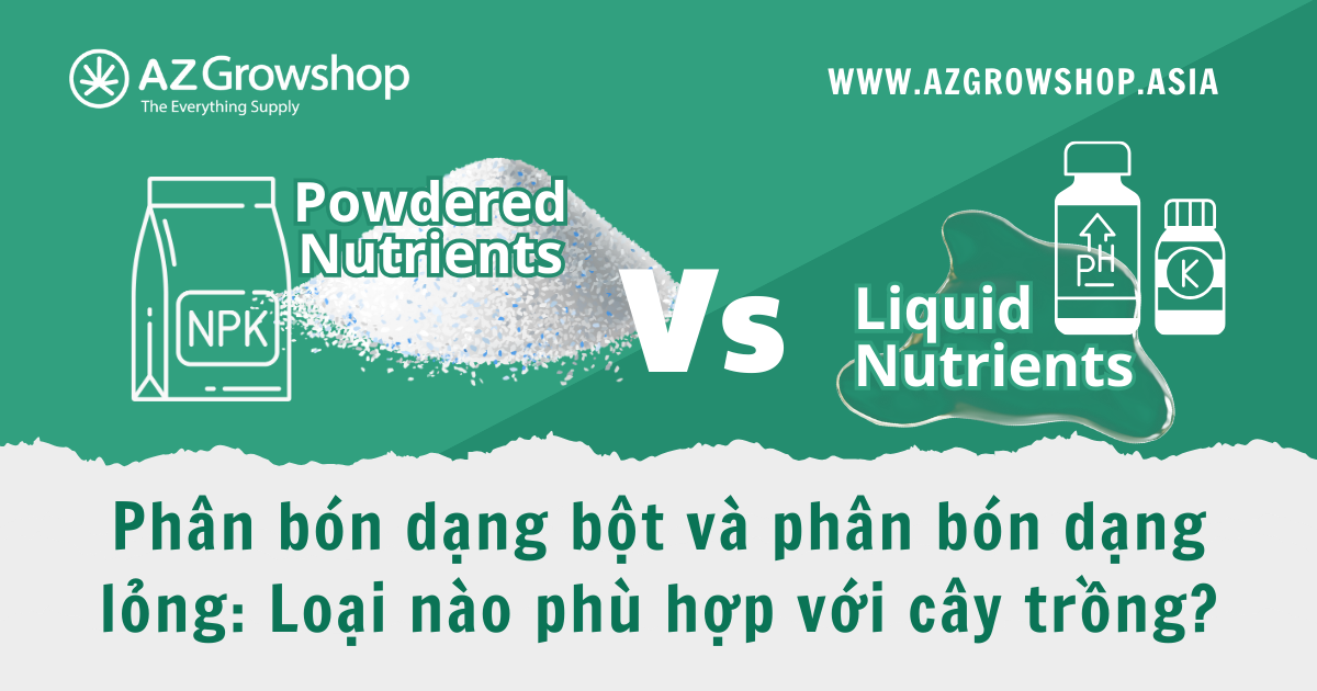 Powder Nutrients vs Liquid Nutrients: Which one is suitable for you?