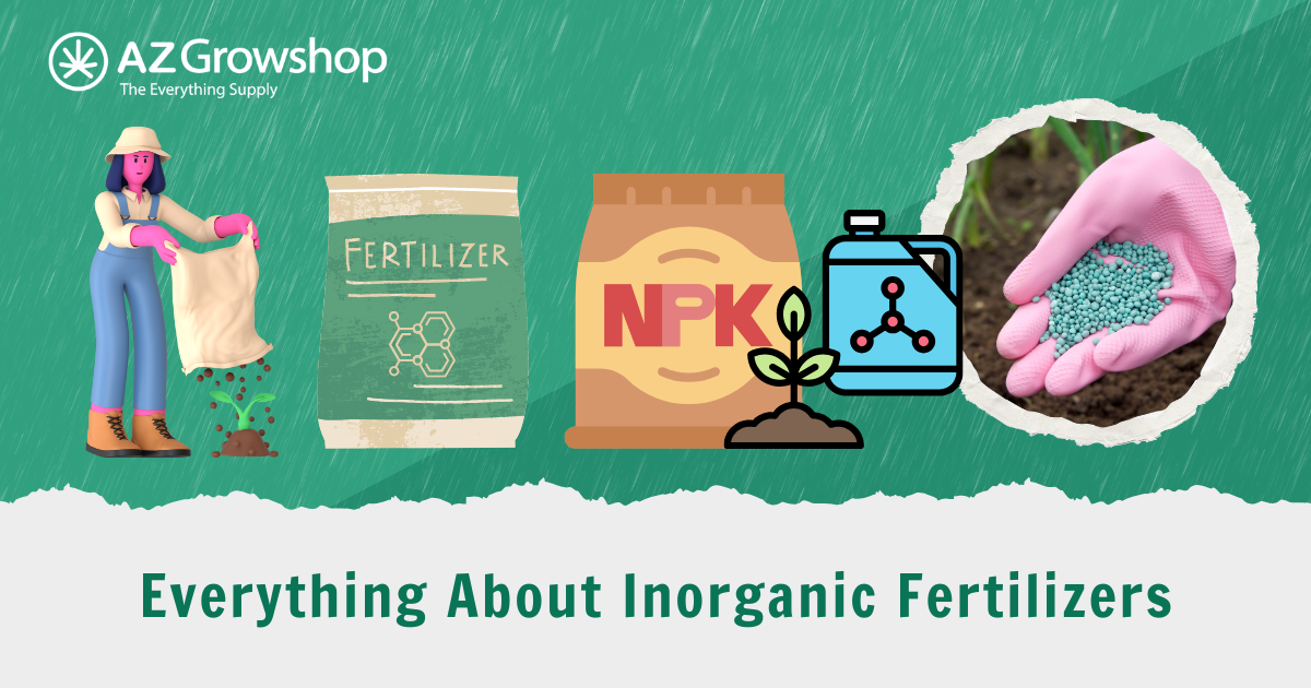 Everything About Inorganic Fertilizers