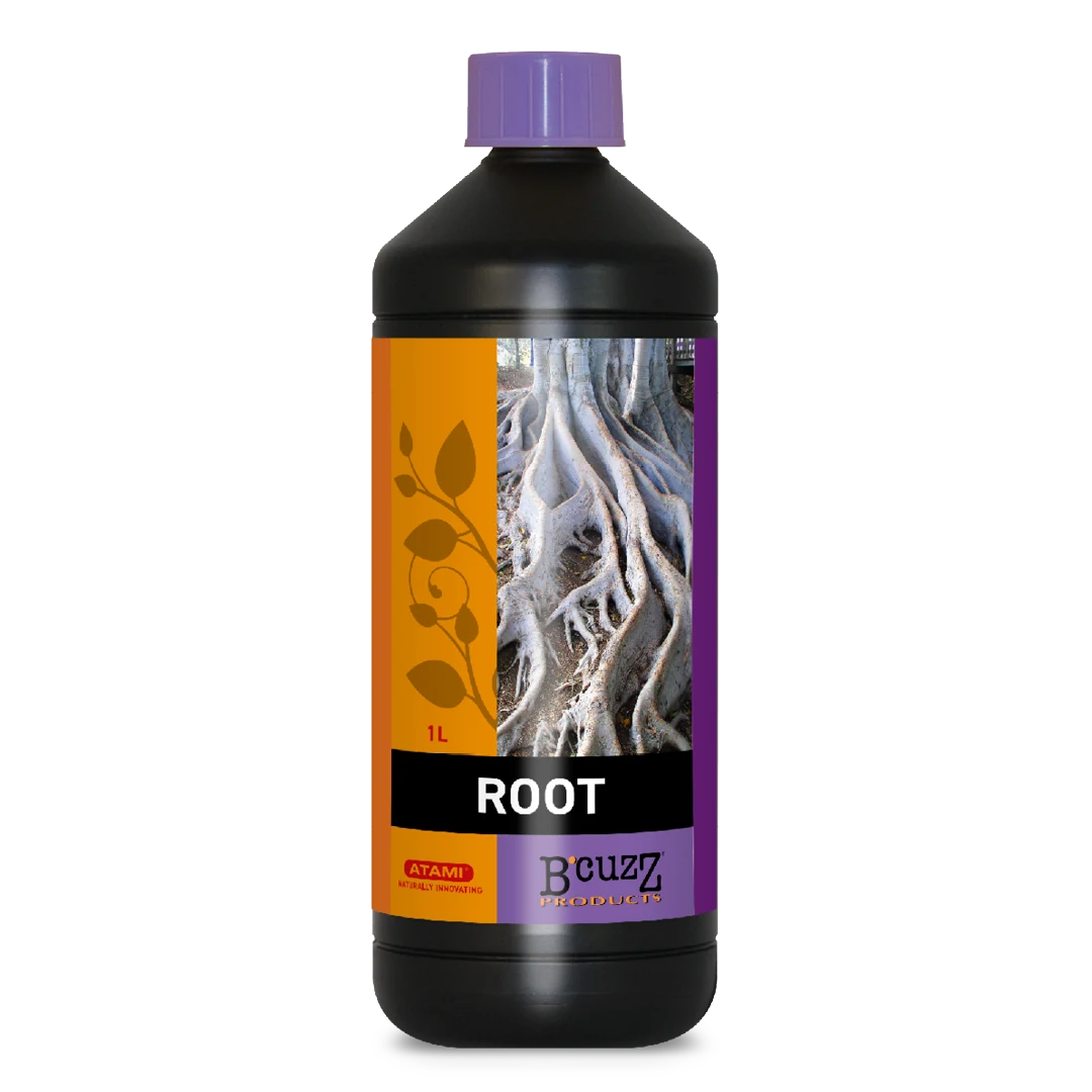 B’cuzz Root - Atami
