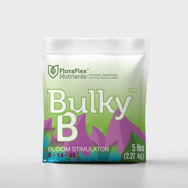 Bulky B™ (Partner)