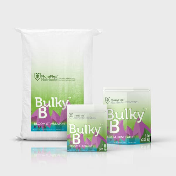 Bulky B™ (Partner)