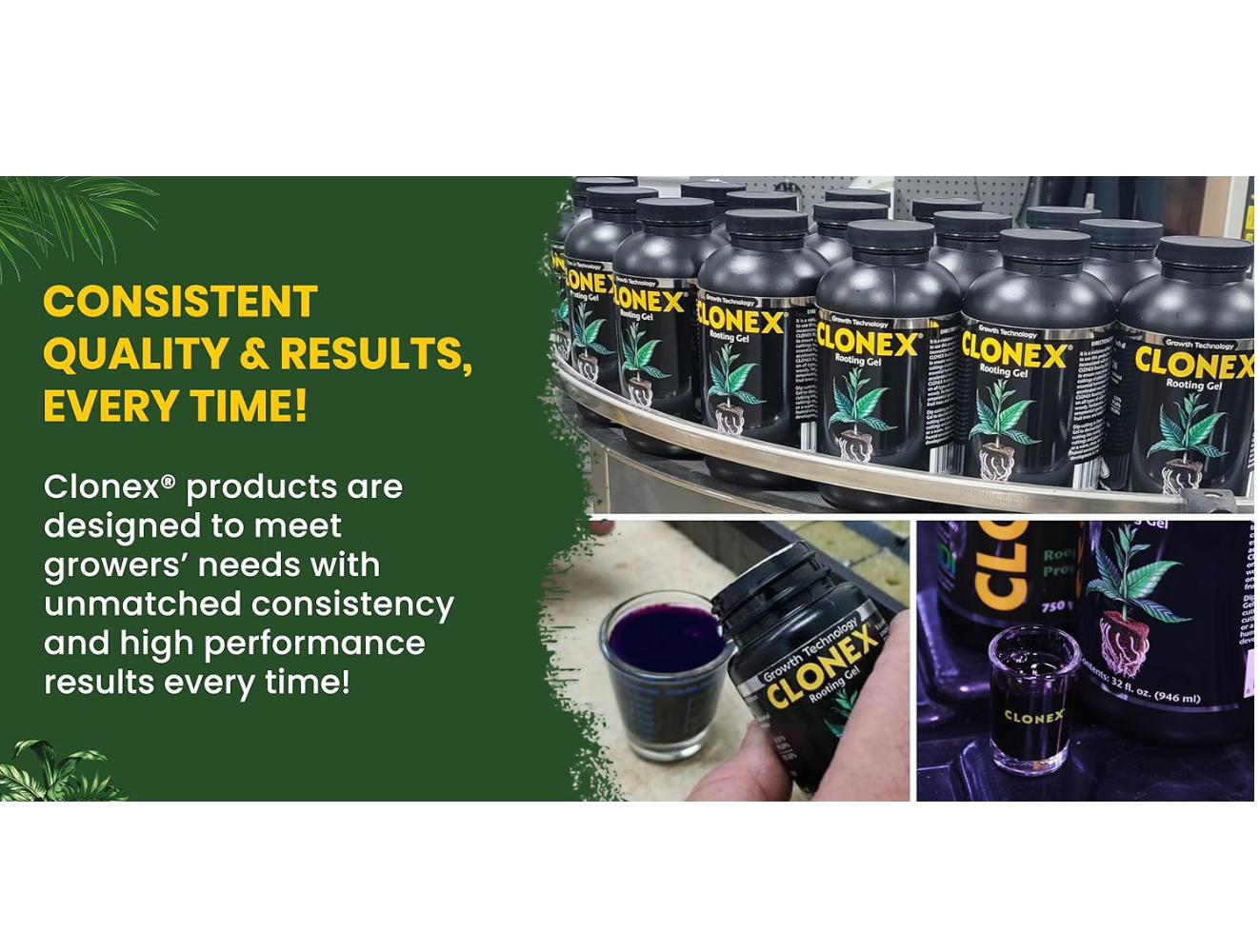 Clonex® (USA)
